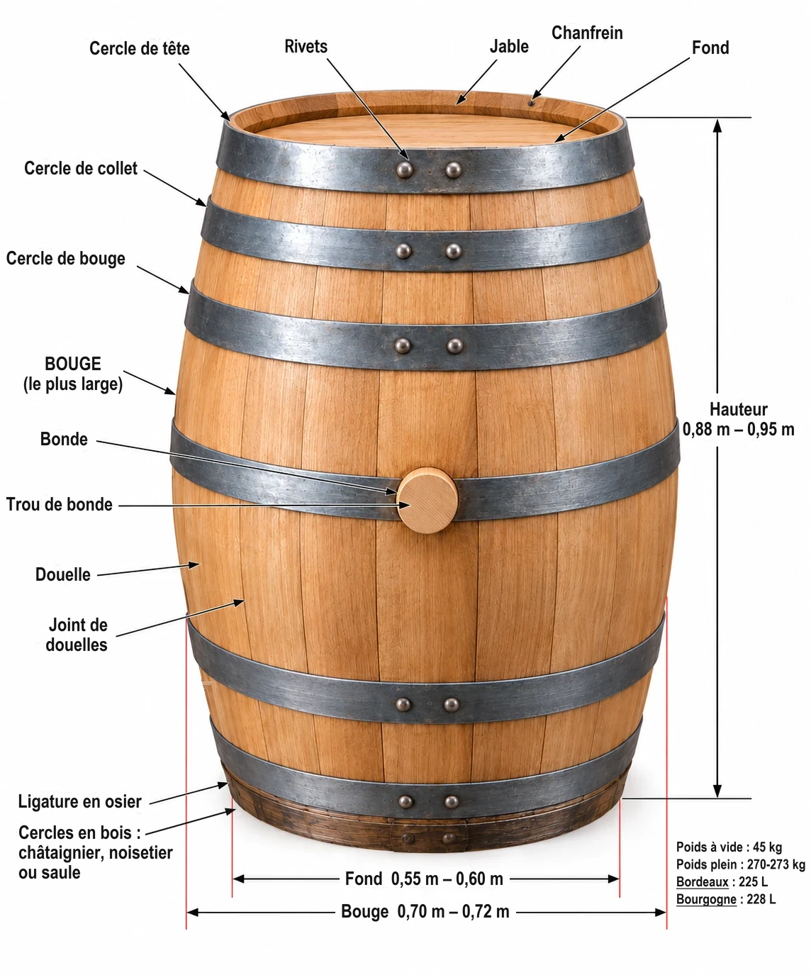 Anatomie d’une barrique / Anatomy of a barrel