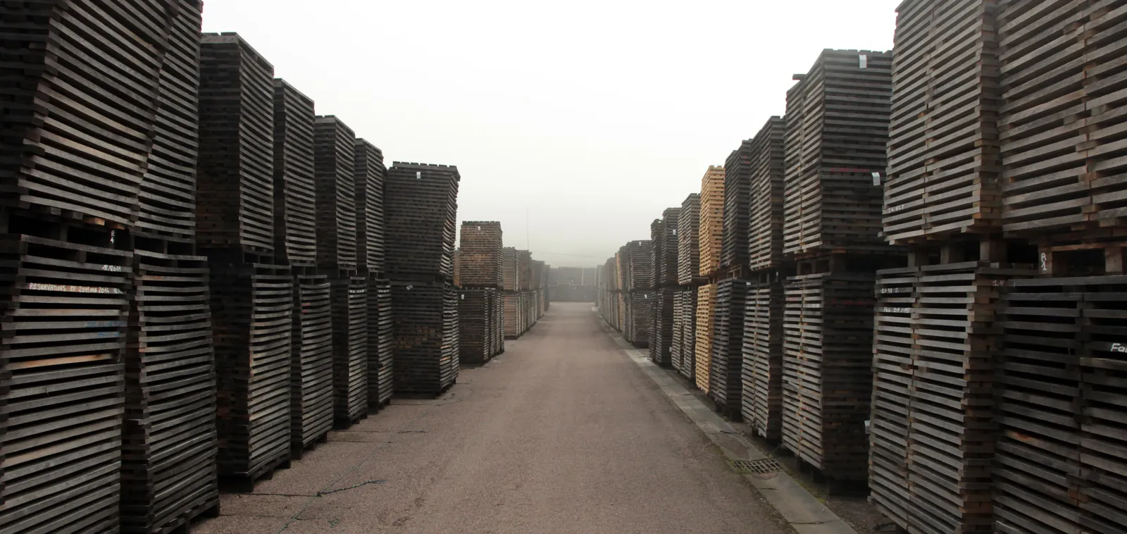 Le parc à bois : des allées de merrains / The stave yard: aisles of stave wood