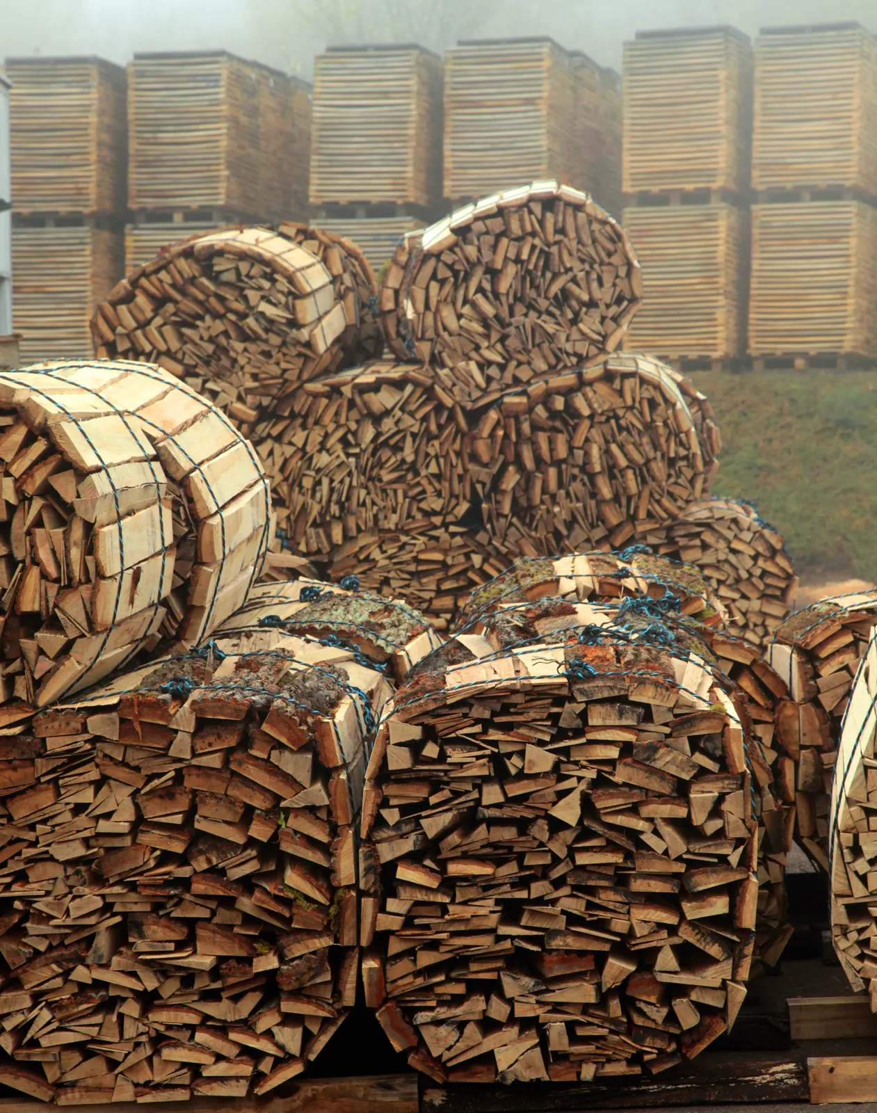 Les merrains fendus, en bottes / Split stave wood, in bundles