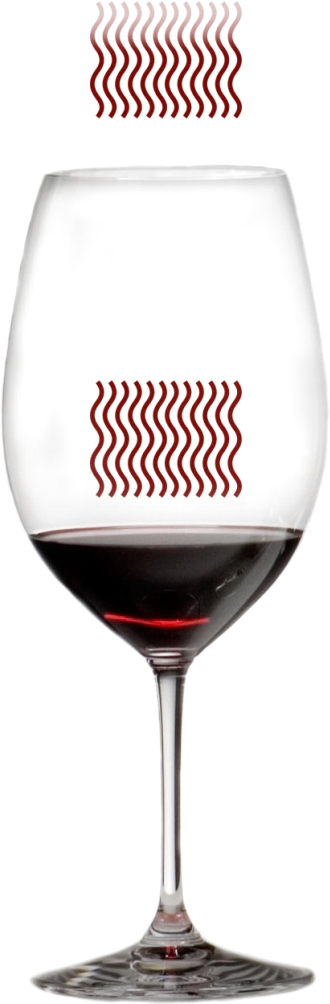 Verre et zones olfactives / Glass and smelling zones