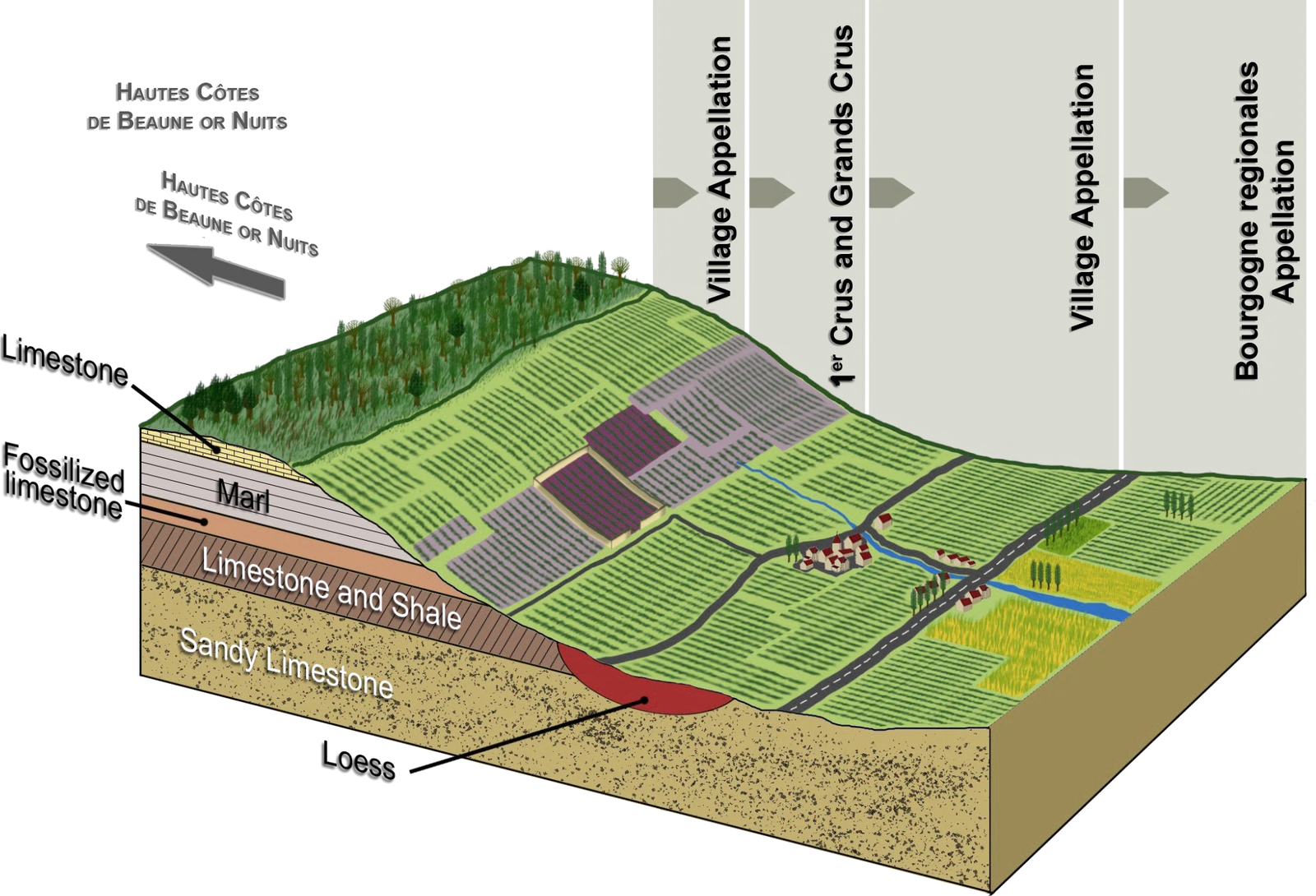 Coupe de la Côte d’Or / Côte d’Or cross-section
