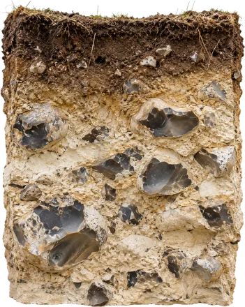 Profil de sol à silex / Flint soil profile